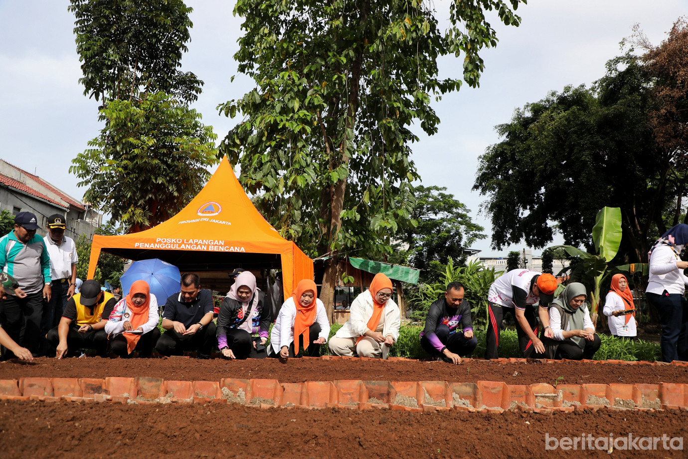 5.Tanam Jagung Serentak di Jakarta Timur.jpg