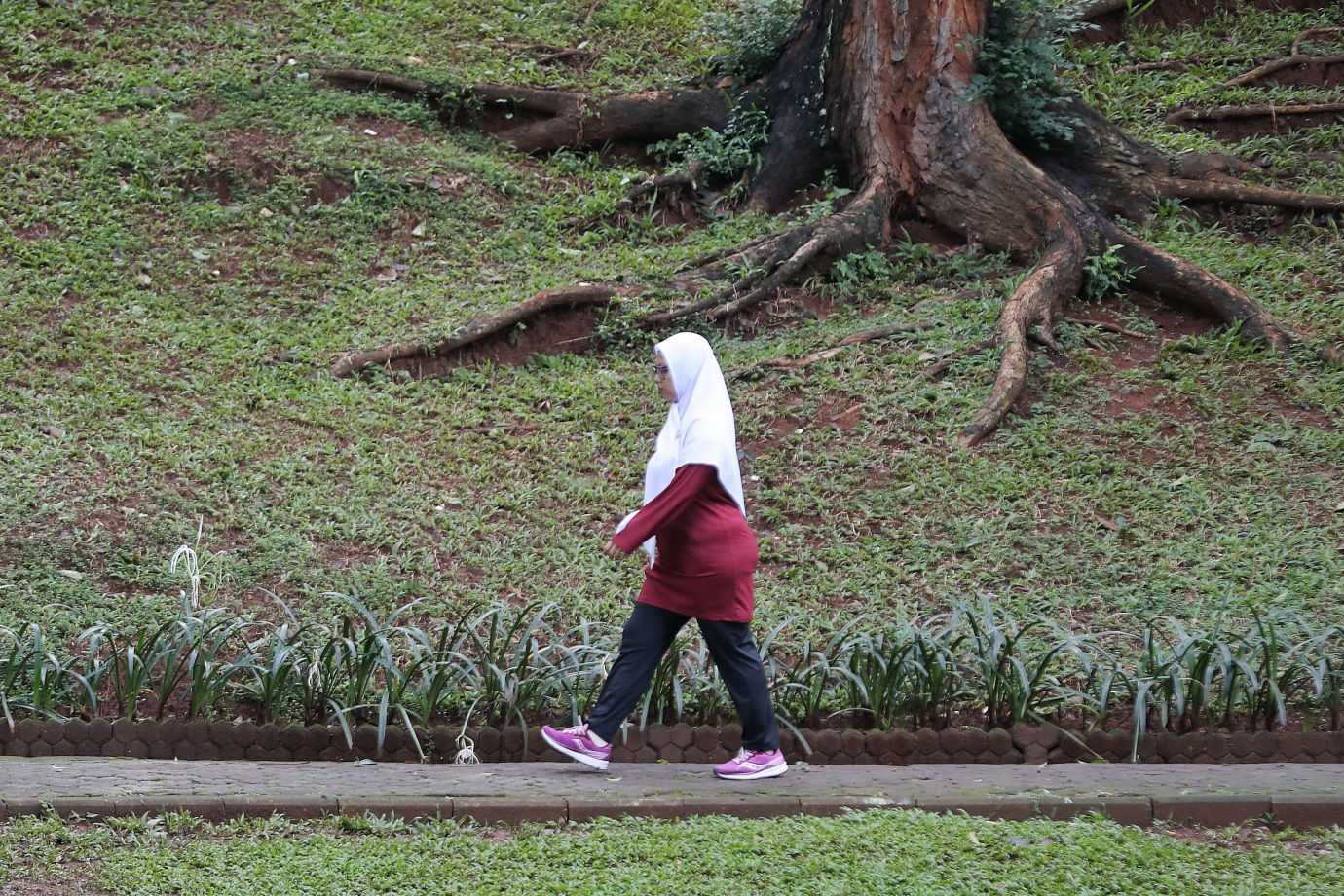 2.Taman Langsat.jpg