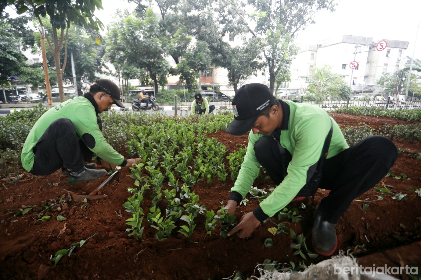 2 Sudin pertamanan per antik kolong Fly Over pondok kopi_2.jpg