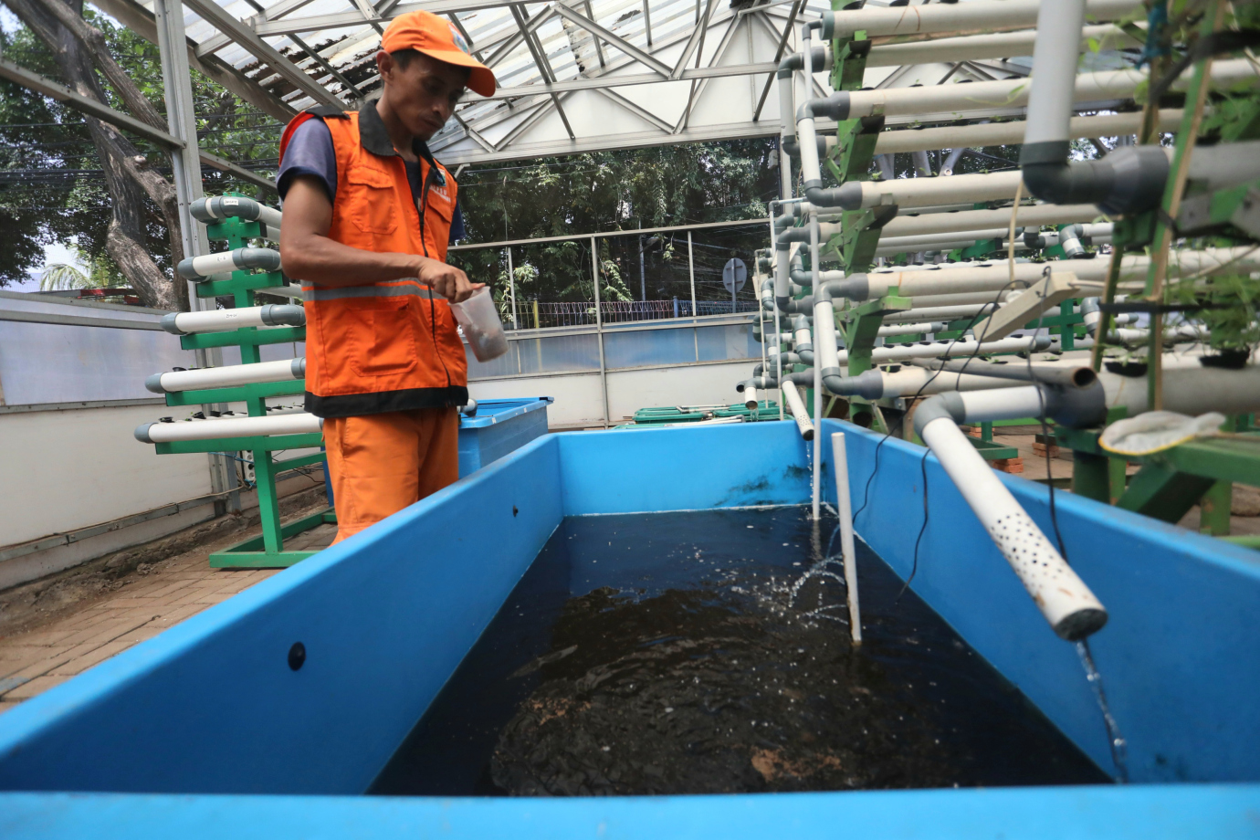 5 Green House Kelurahan Pademangan Barat_5.jpg