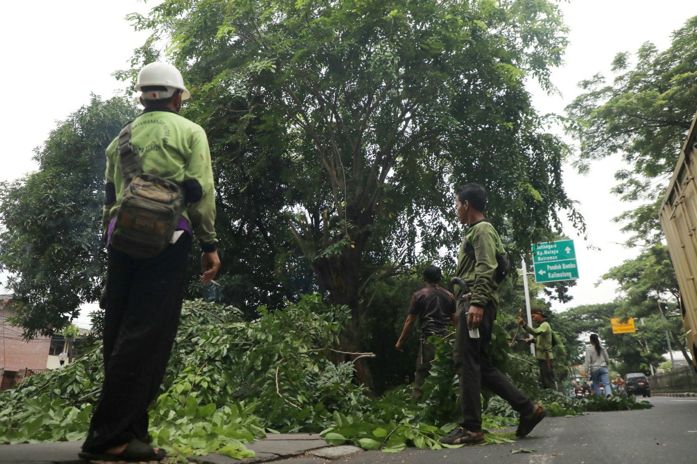 1 Penopingan Pohon di Jalan I Gusti Ngurah Rai_1.jpg
