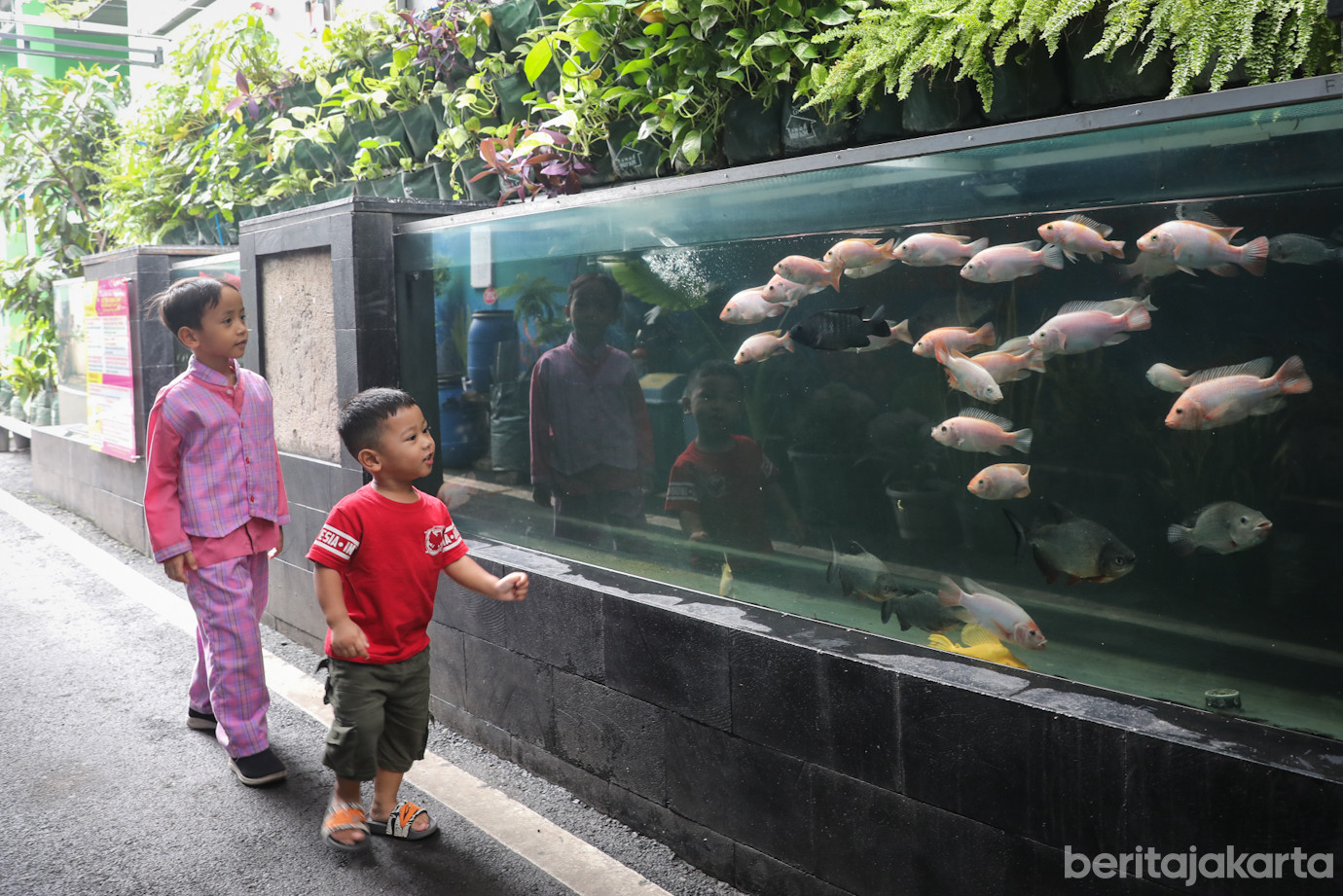 Gang Hijau RT 8 Malaka Jaya-2.jpg