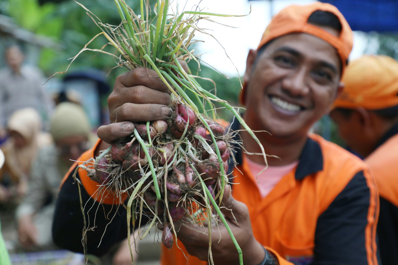 7 PLT Walikota Jaktim panen sayuran_7.jpg