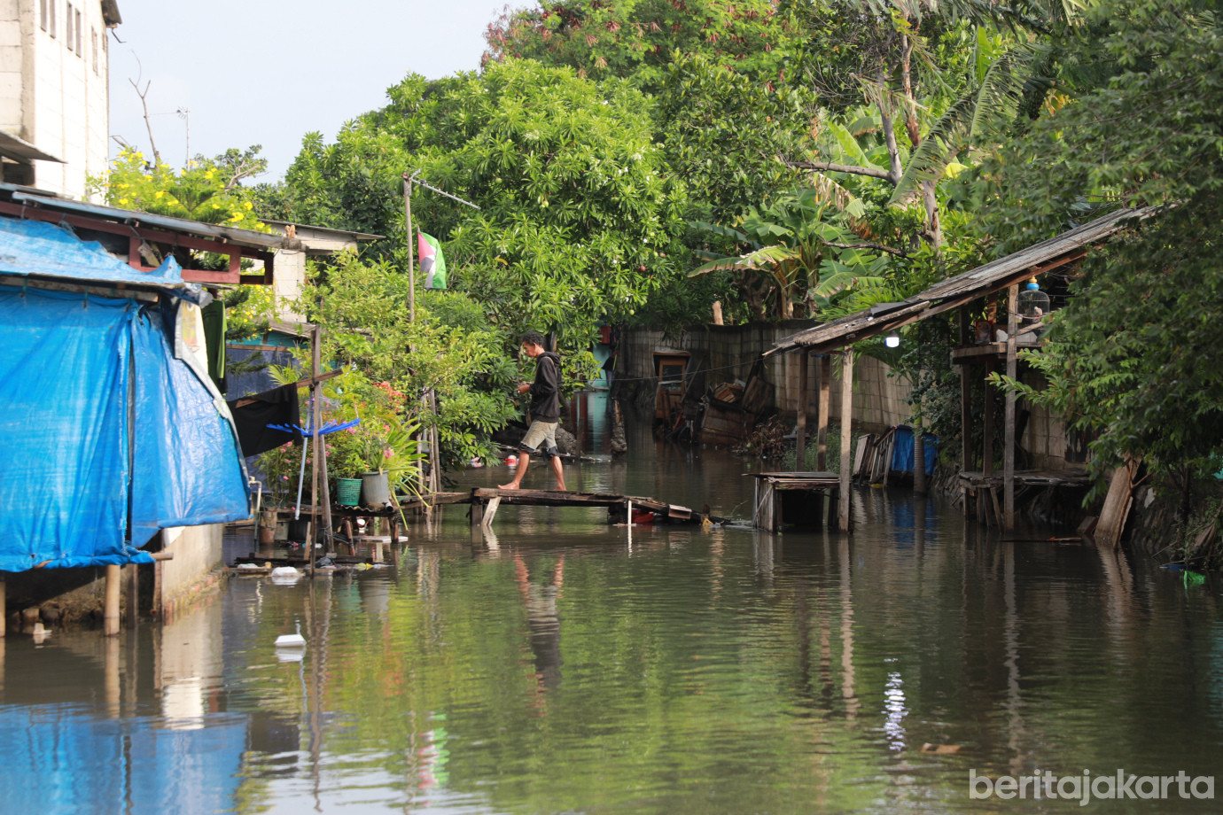 4-2gub kali begog.jpg