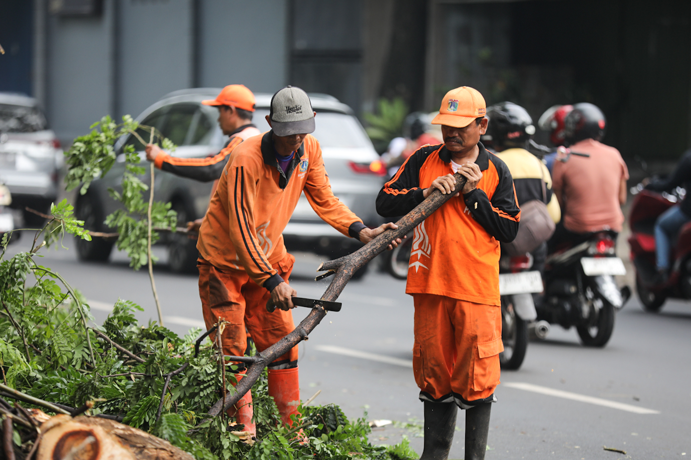 Ppsu pohon tumbang-1.jpg