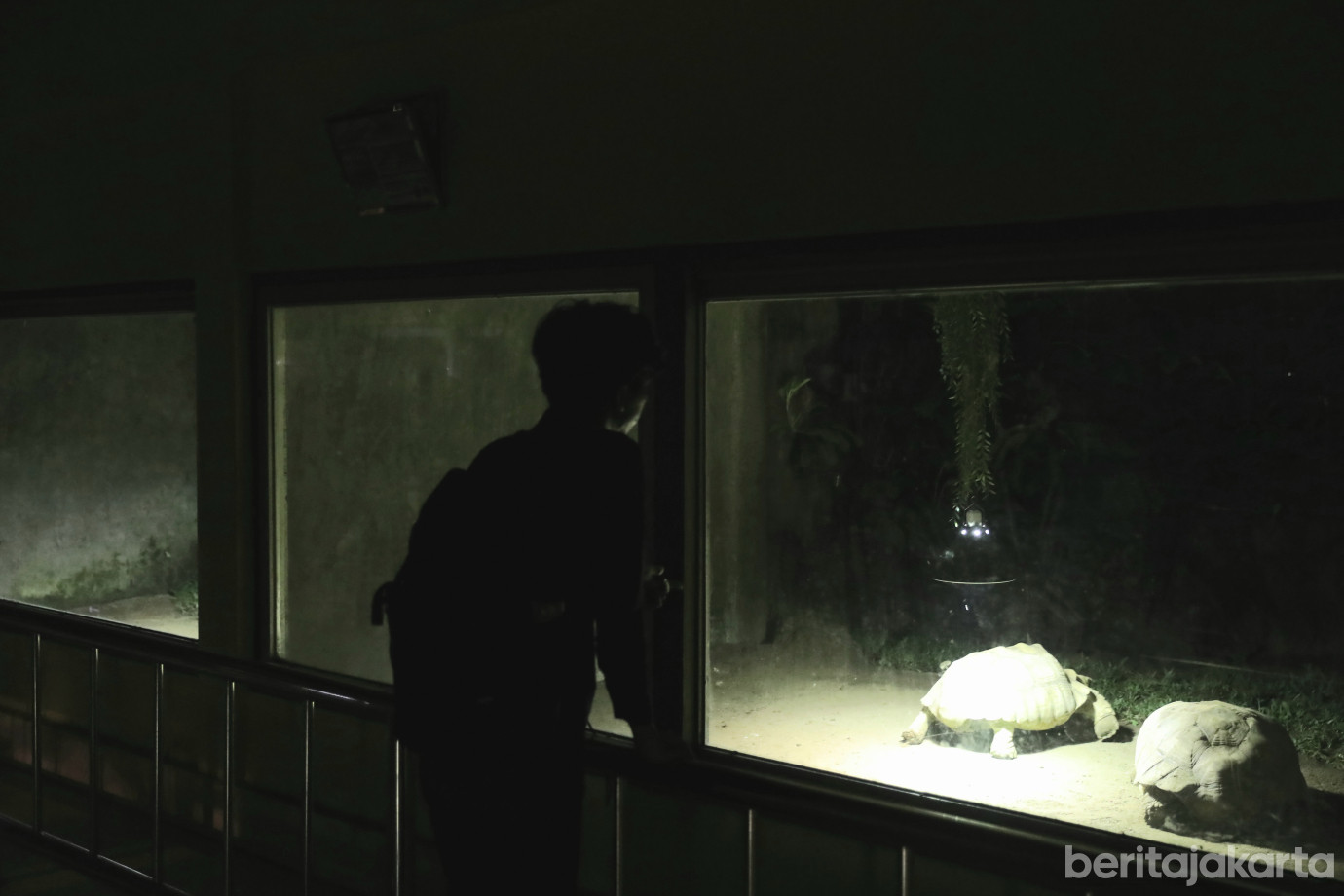 3 Uji Coba “Night at the Ragunan Zoo”_3.jpg