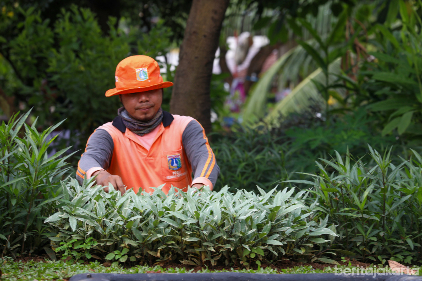 5 PPSU Pondok Kopi Sulap Lahan Kosong Jadi Taman Unggulan Triwulan IV_5.jpg