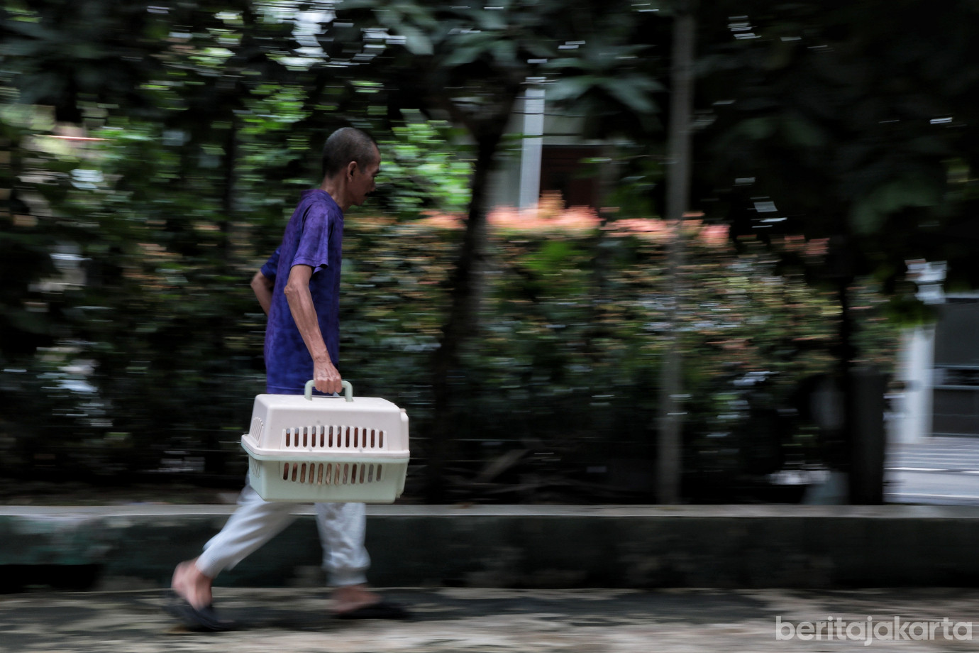 6.Vaksinasi Rabies Taman Cibeber.jpg
