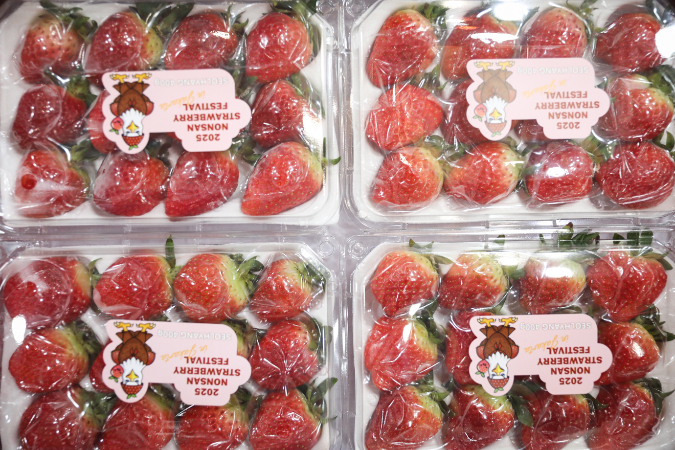 Nonsan Strawberry Festival-1.jpg