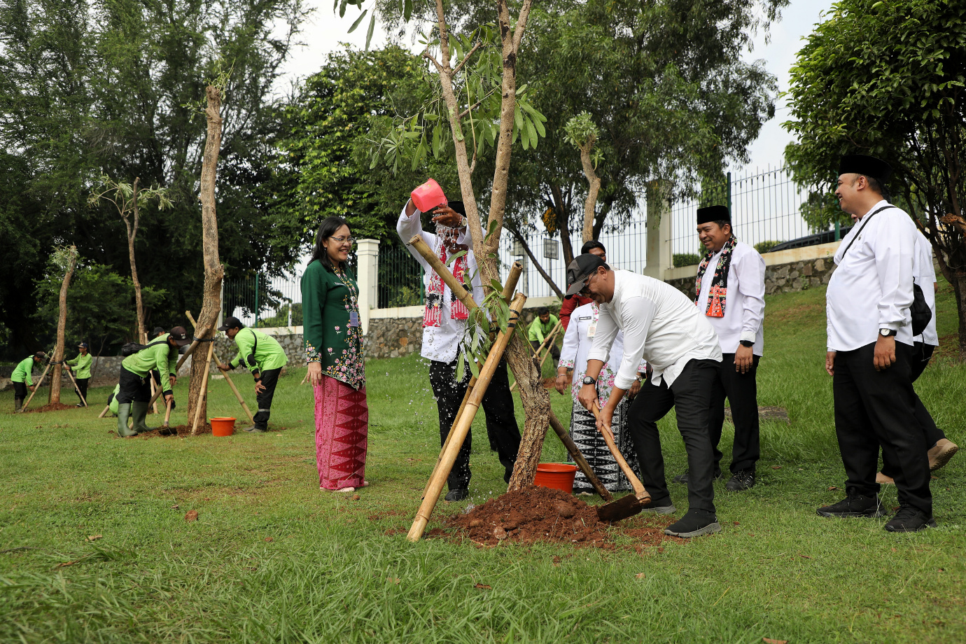 3.10 Pohon Tabebuya Kuning Ditanam di Taman Viaduk Jatinegara.jpg