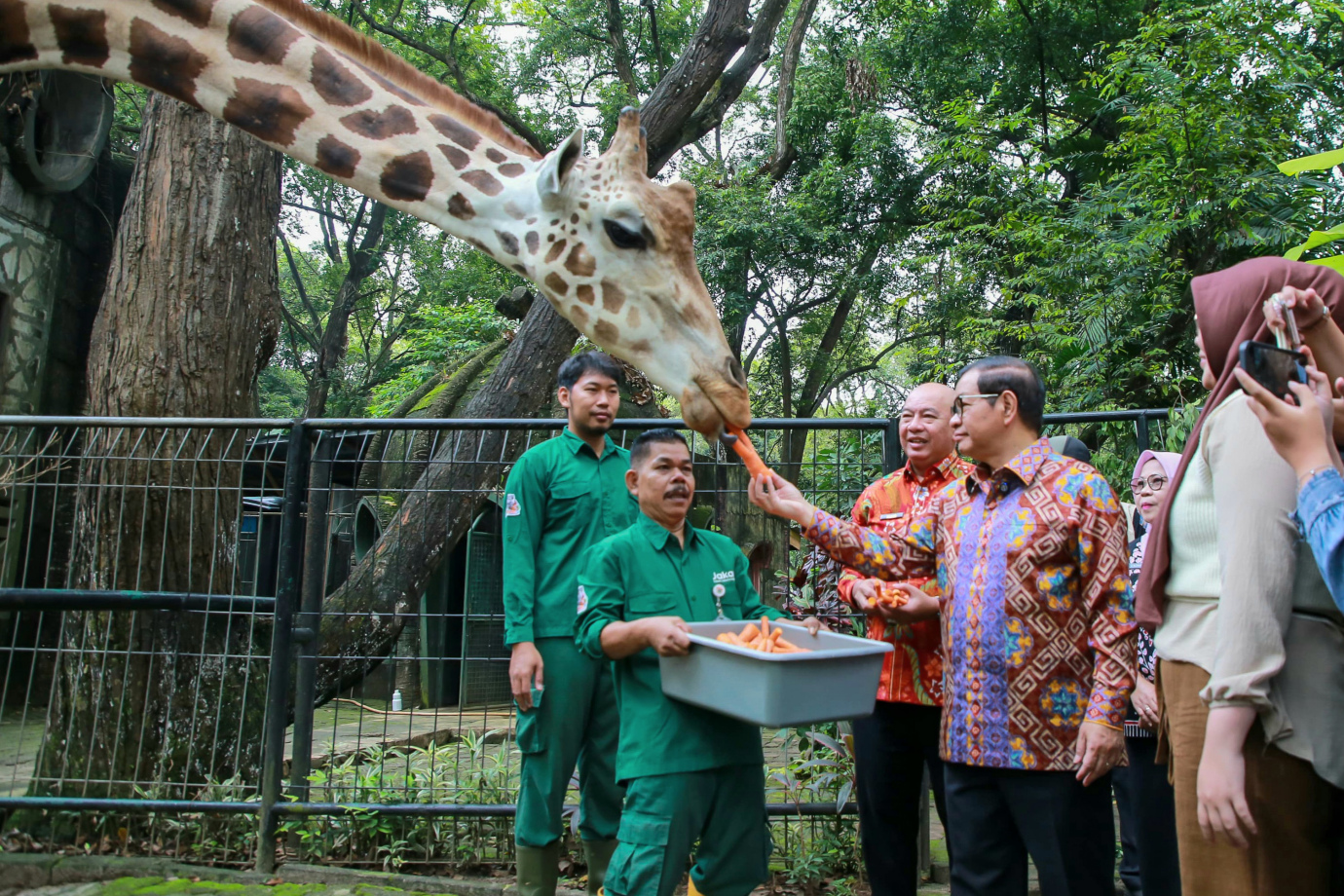 4 gubragunan.jpg