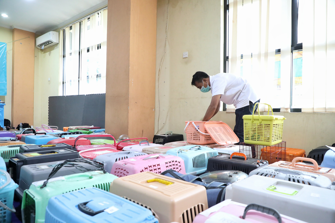 9.Sudin KPKP Jakarta Timur Targetkan Sterilisasi 2000 Ekor Kucing Pada Tahun 2025.jpg