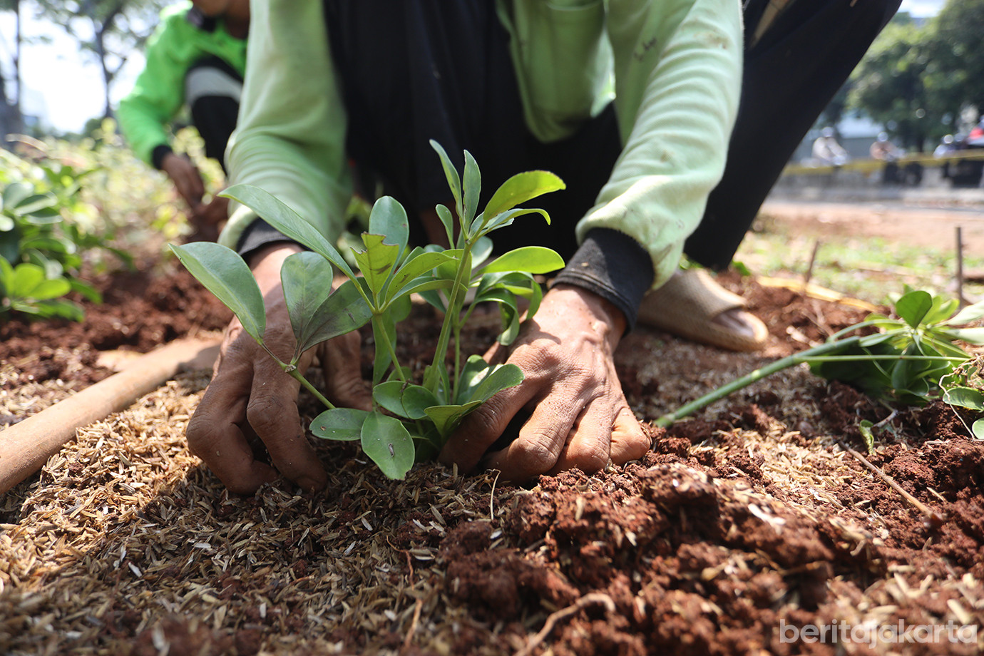 jalur-hijau-kramat-kwitang-05.jpg
