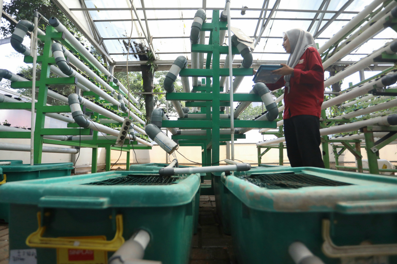 1 Green House Kelurahan Pademangan 1.jpg