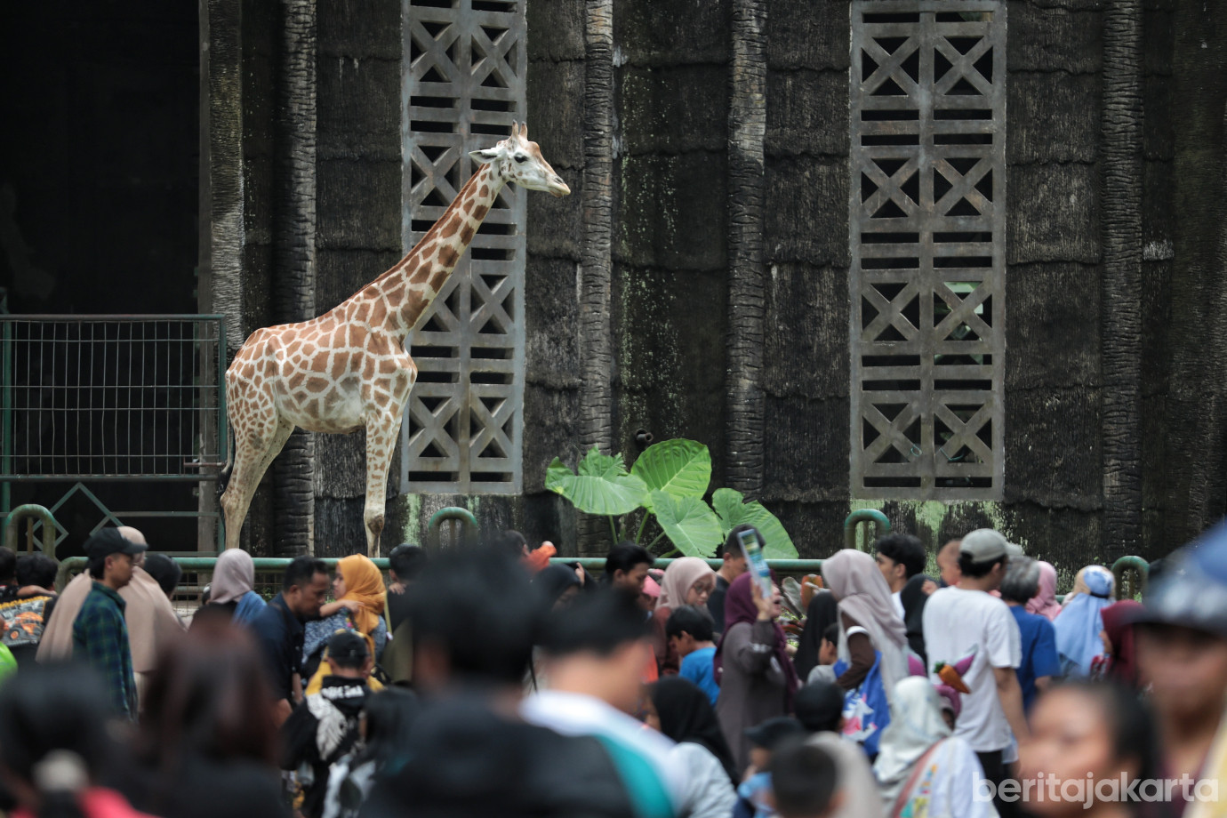 9.Ragunan Ramai Dikunjungi Saat Libur Natal 2025.jpg