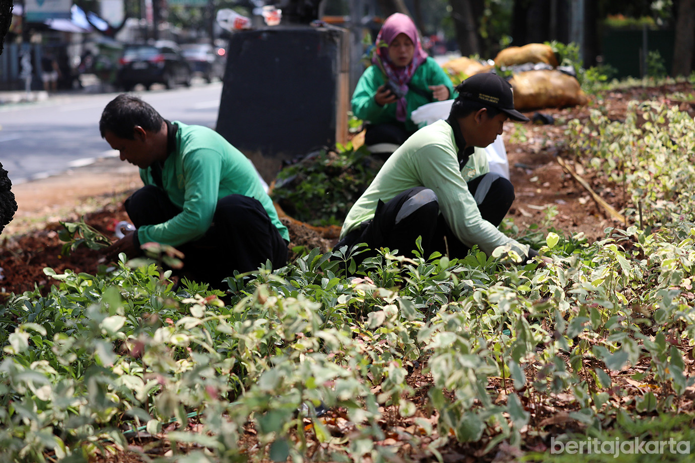 jalur-hijau-kramat-kwitang-01.jpg