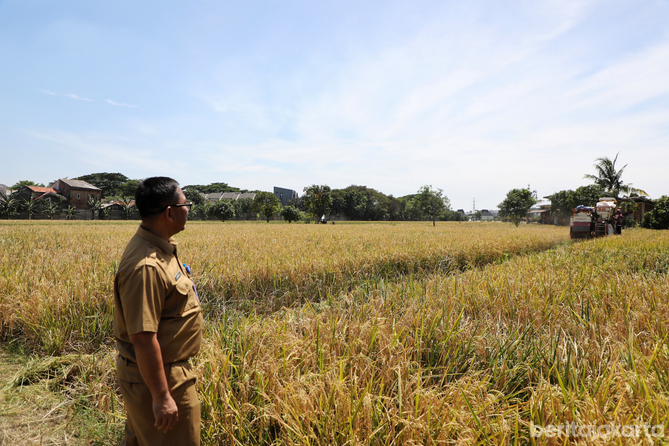 7.9,2 Ton Padi Berhasil Dipanen di Kebon Bibit Ujung Menteng.jpg