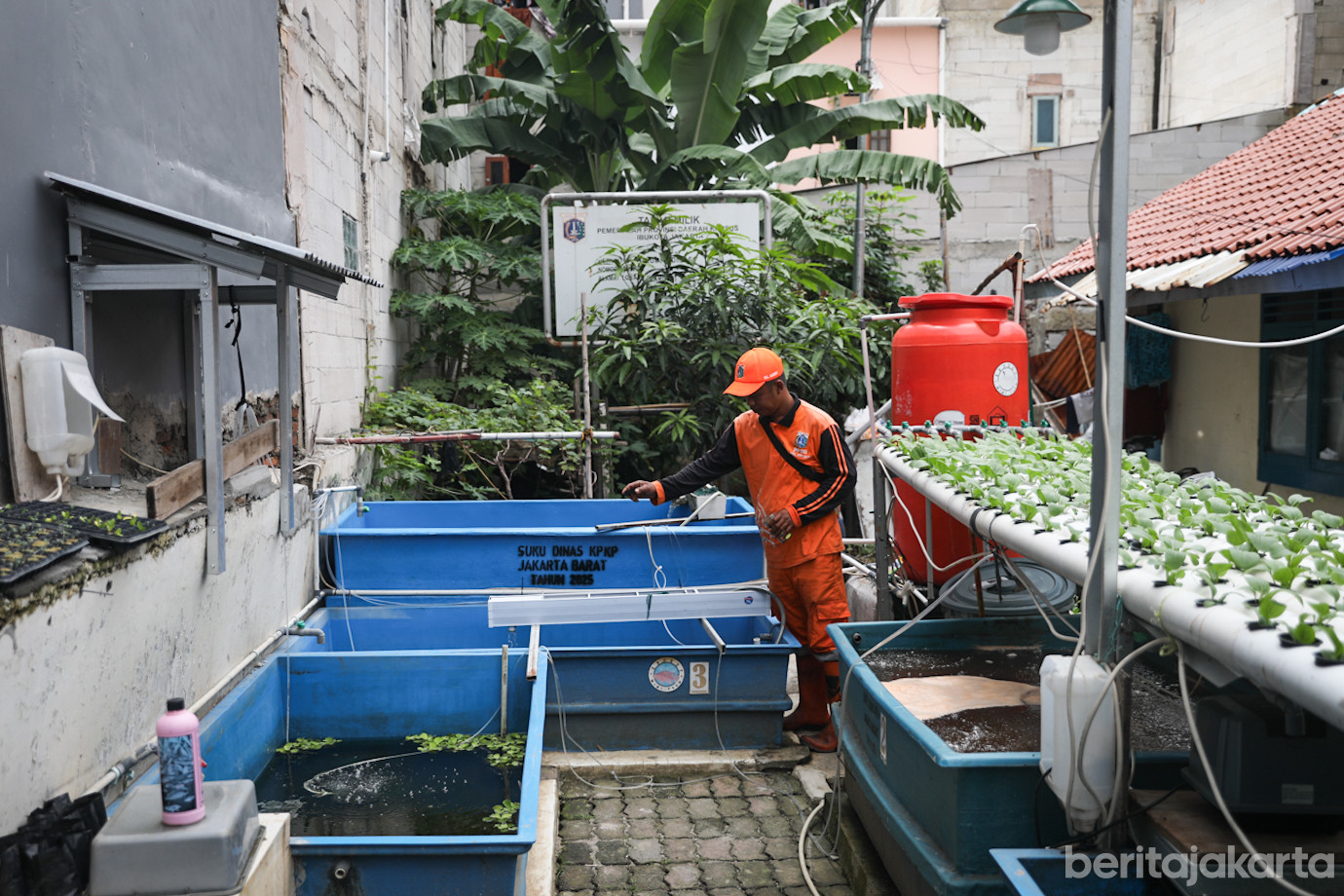 Krukut Mini Farm-6.jpg