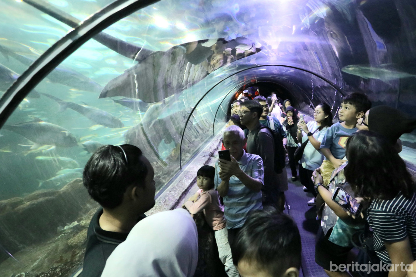 2 Ribuan Pengunjung Padati Sea World Ancol Saat Libur Maulid Nabi_2.jpg