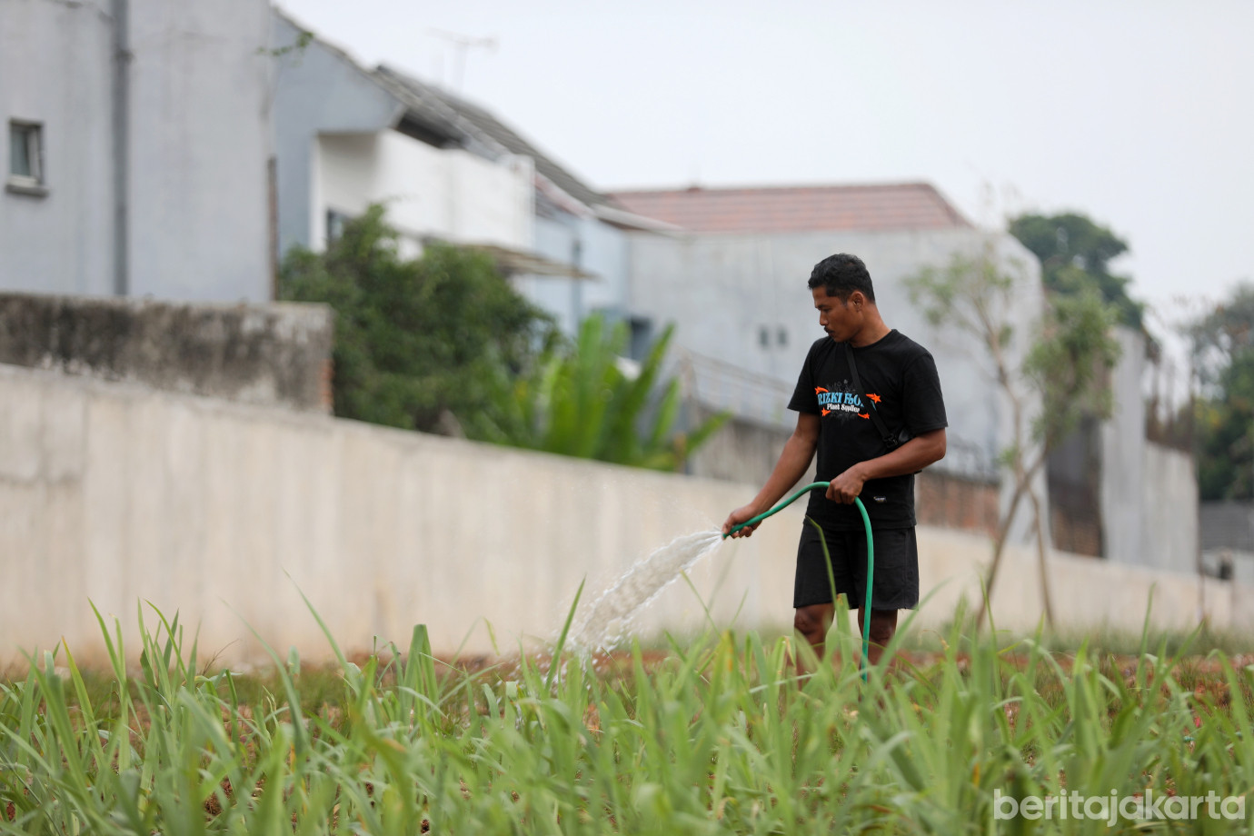 8.Pembangunan Taman Cempaka Putih Bintaro Capai 92 Persen.jpg