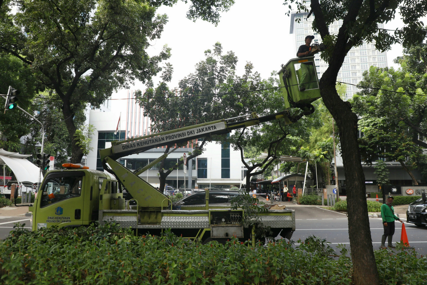 1 Penopingan pohon di jalan kebon sirih 1.jpg