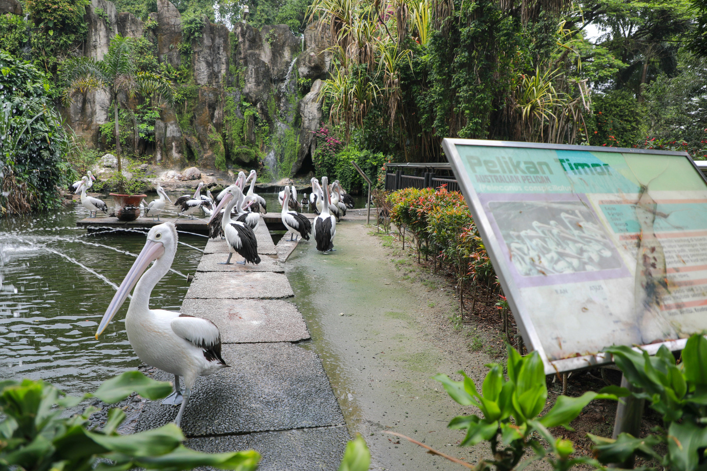 3-1 gubragunan.jpg