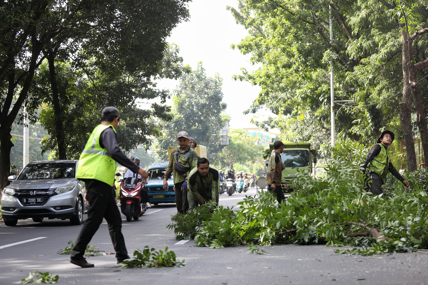 3.Sudin Tamhut Jakarta Selatan Toping 80 Pohon di Jagakarsa.jpg