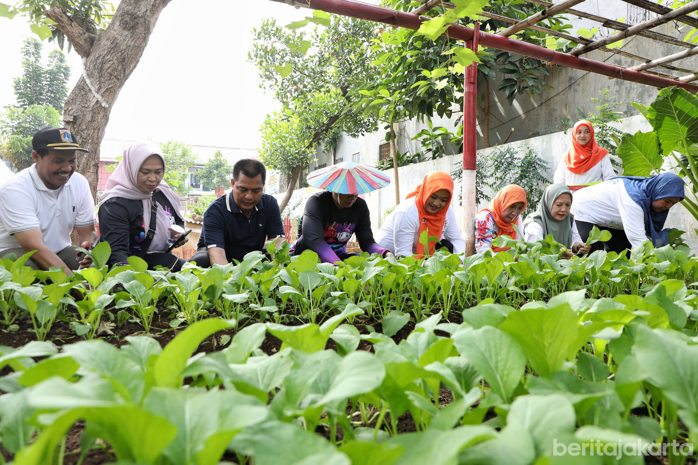 7.Tanam Jagung Serentak di Jakarta Timur.jpg