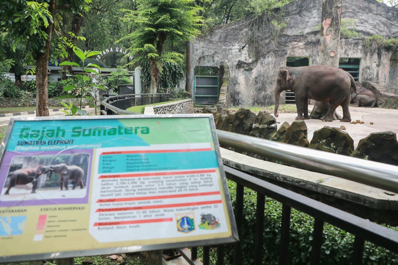 5-1 gubragunan.jpg