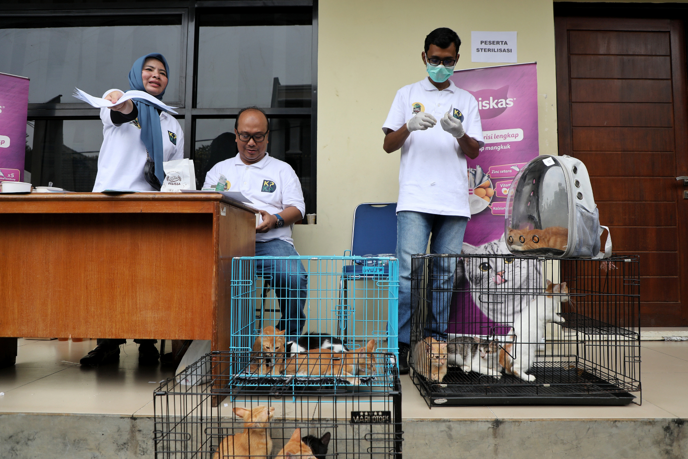 2.Sudin KPKP Jakarta Timur Targetkan Sterilisasi 2000 Ekor Kucing Pada Tahun 2025.jpg