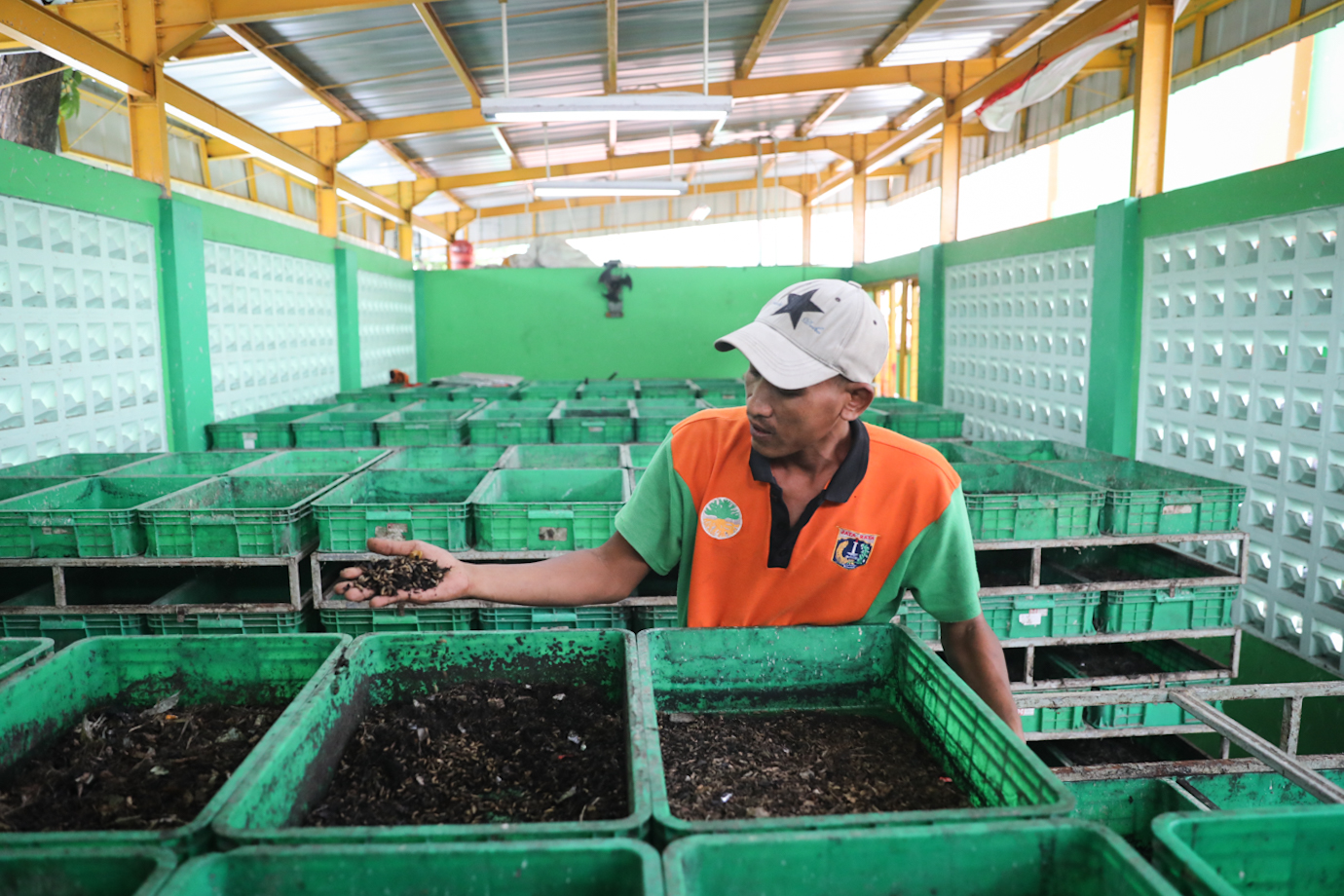 Maggot Cempaka Putih-6.jpg