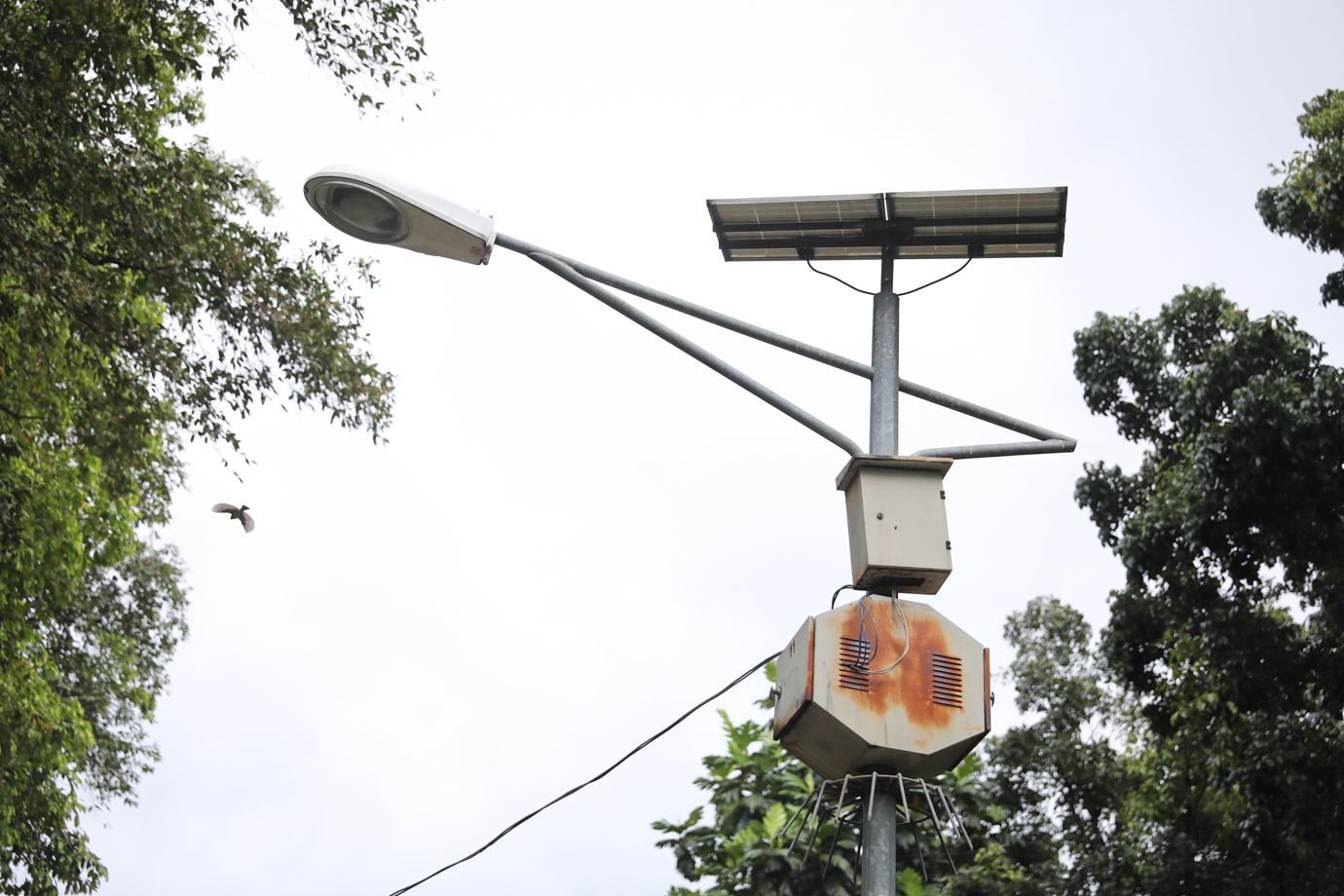 Taman Lapangan Banteng-2.jpg