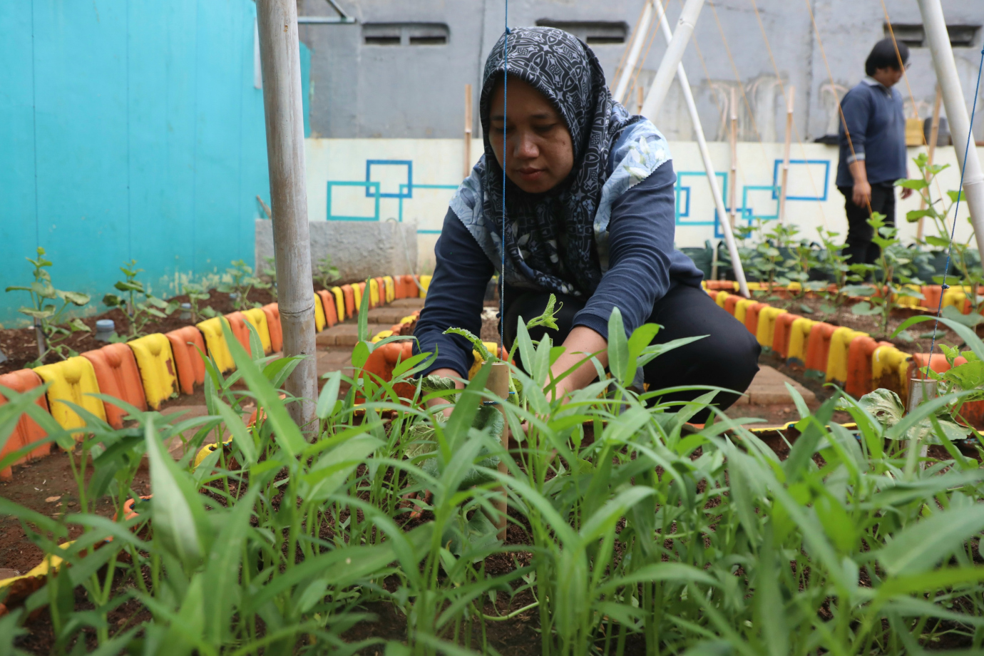 2 Urban Farming RPtRa bunga rampai 2.jpg