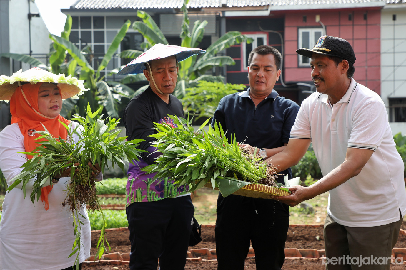 8.Tanam Jagung Serentak di Jakarta Timur.jpg