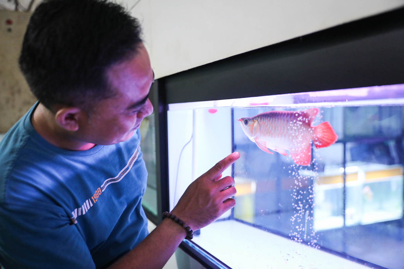 Bursa Ikan Johar Baru-4.jpg