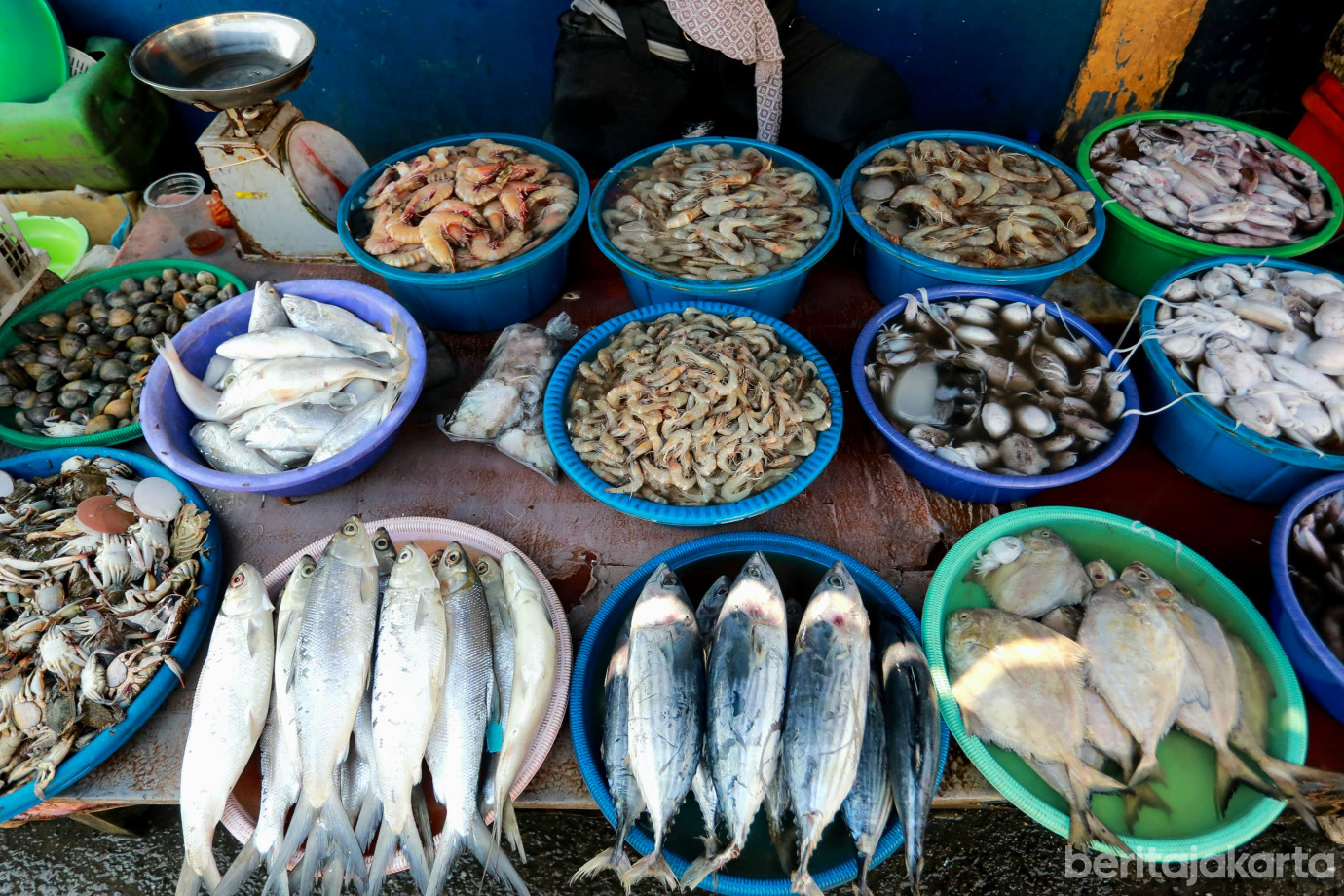 6-1pasar cilincing.jpg