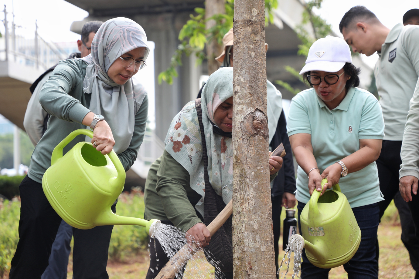 2.15 Pohon Tabebuya Kuning Ditanam di Jalur Hijau MT Haryono.jpg