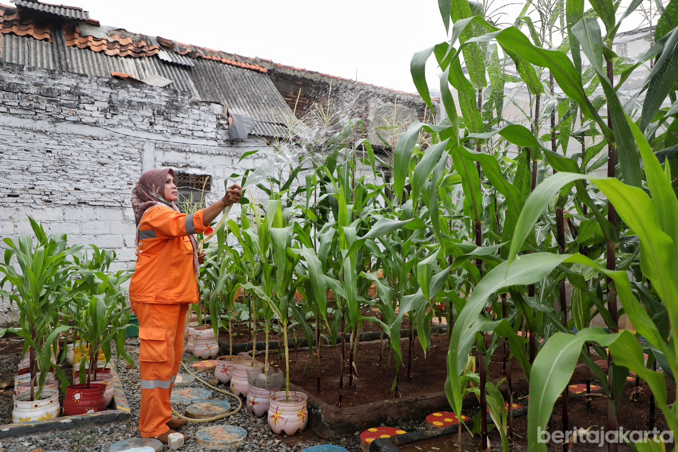 6.Kelurahan Cipulir Ubah Lahan Tak Terpakai Jadi Rumah Gizi.jpg