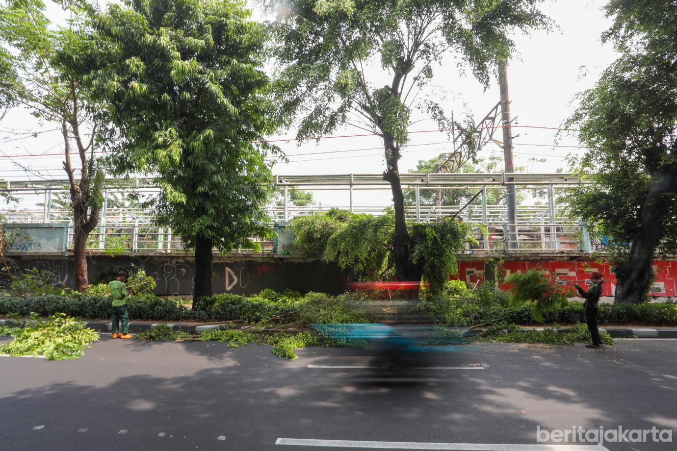 1 Penopingan Pohon di Depan Stasiun Buaran Lama_1.jpg