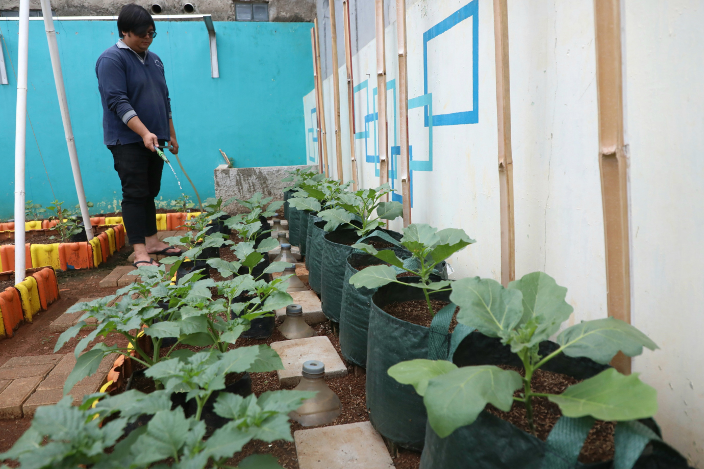 3 Urban Farming Rptra bunga rampai 3.jpg