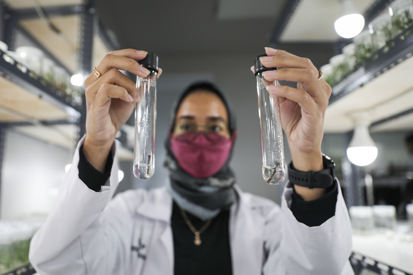 lab kultur jaringan-2.jpg