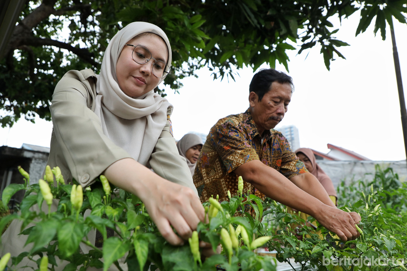 5.Kelurahan Cipulir Ubah Lahan Tak Terpakai Jadi Rumah Gizi.jpg