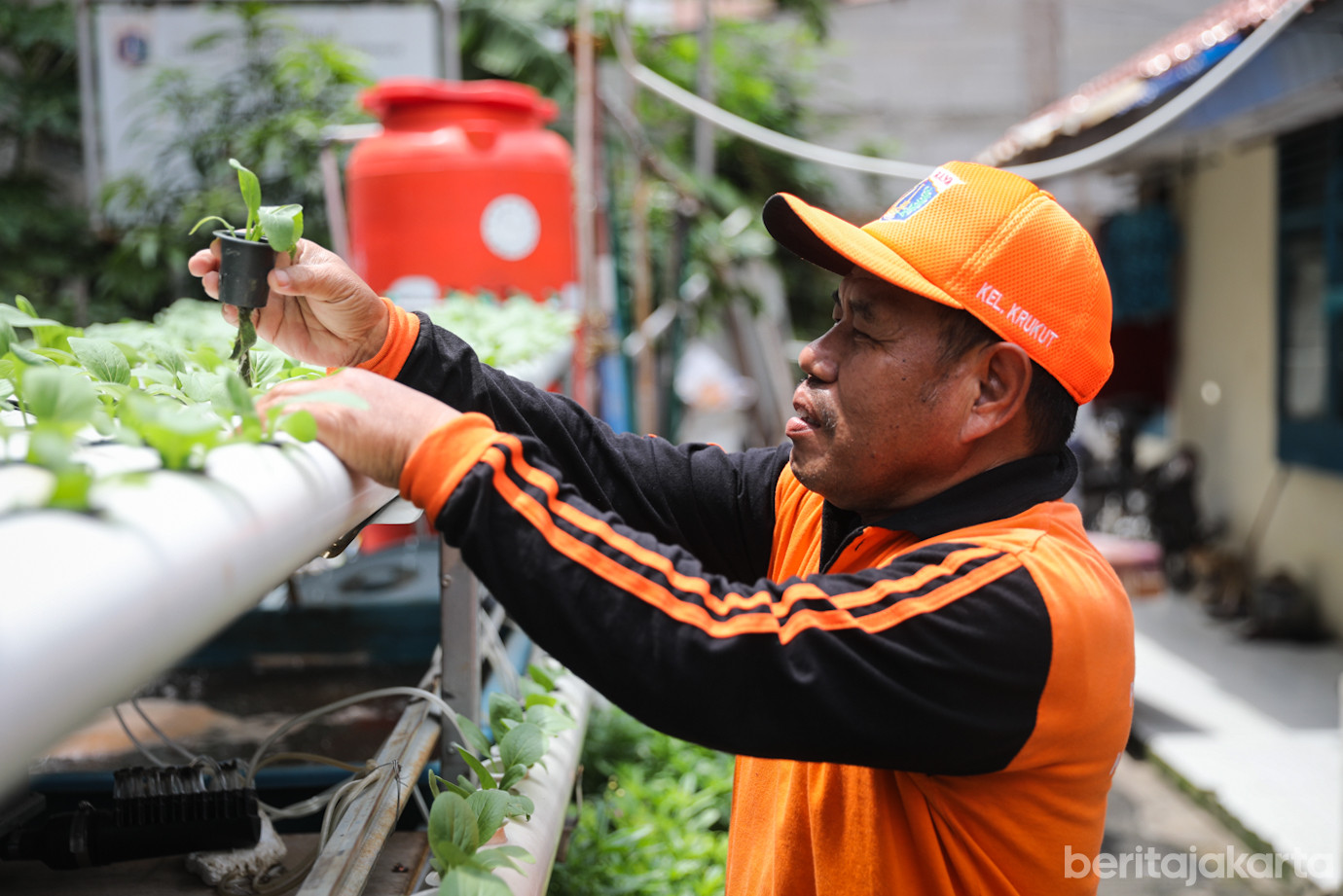 Krukut Mini Farm-5.jpg