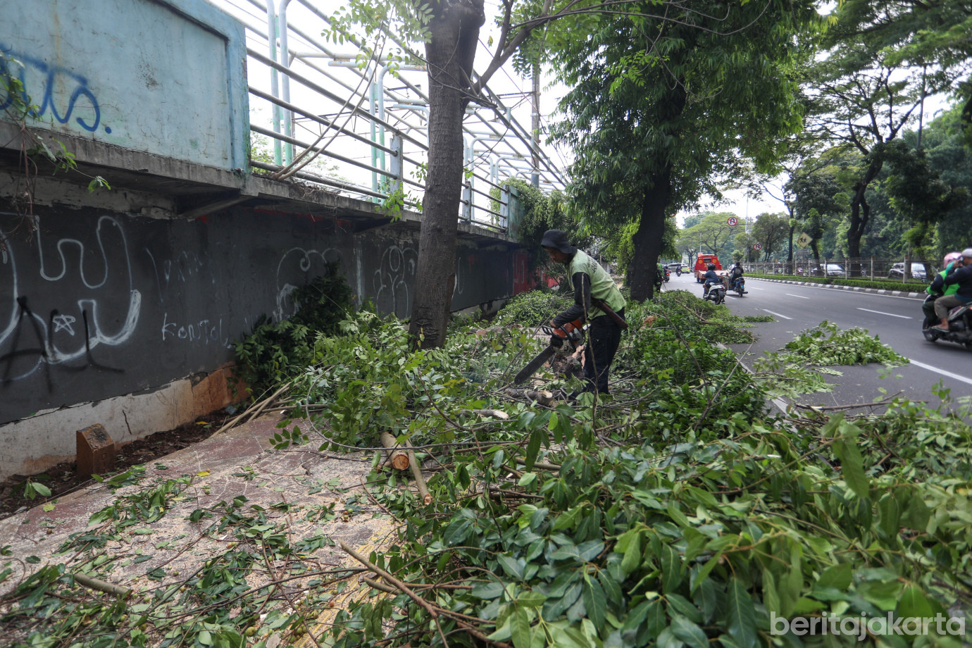 6 Penopingan Pohon di Depan Stasiun Buaran Lama_6.jpg