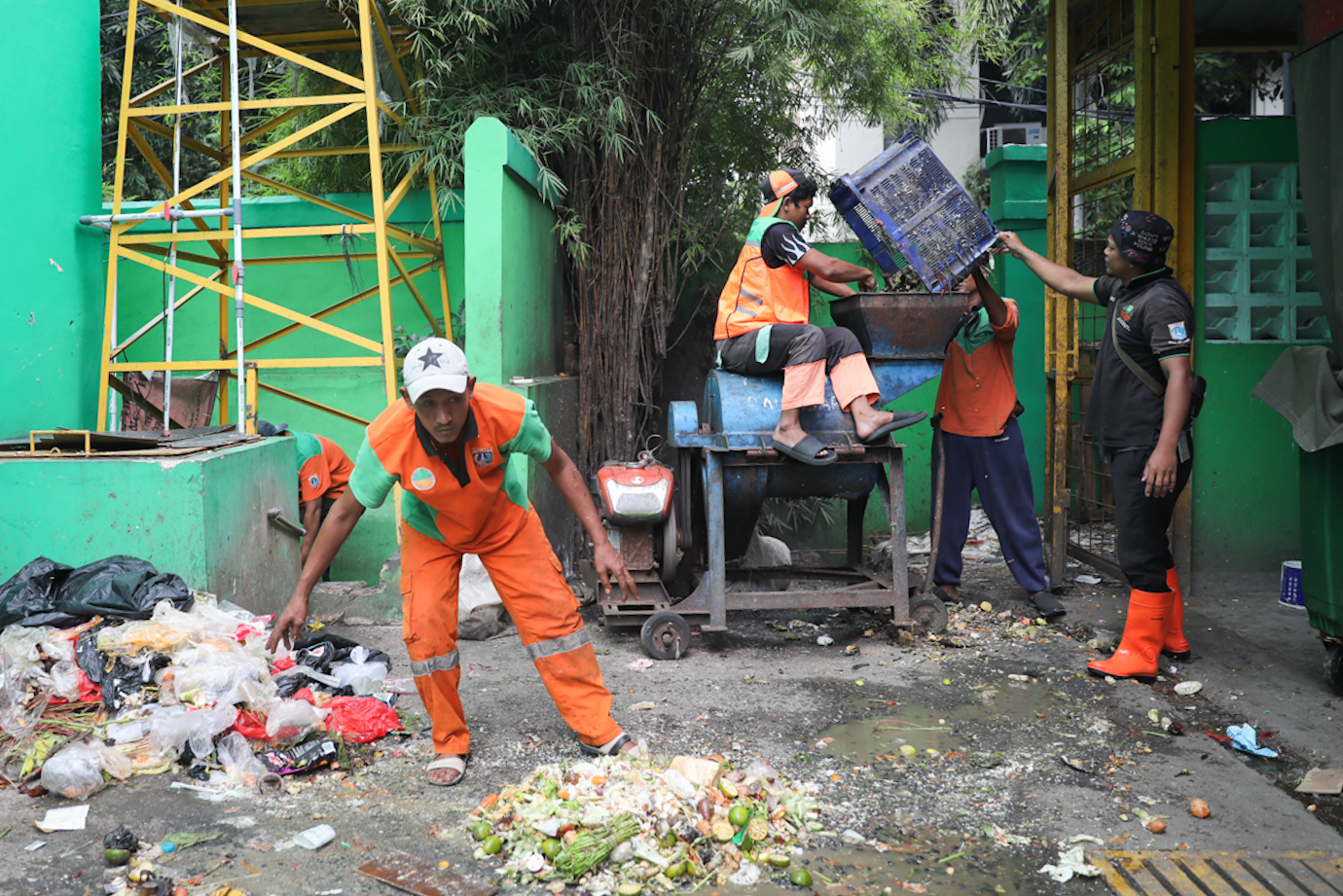 Maggot Cempaka Putih-4.jpg