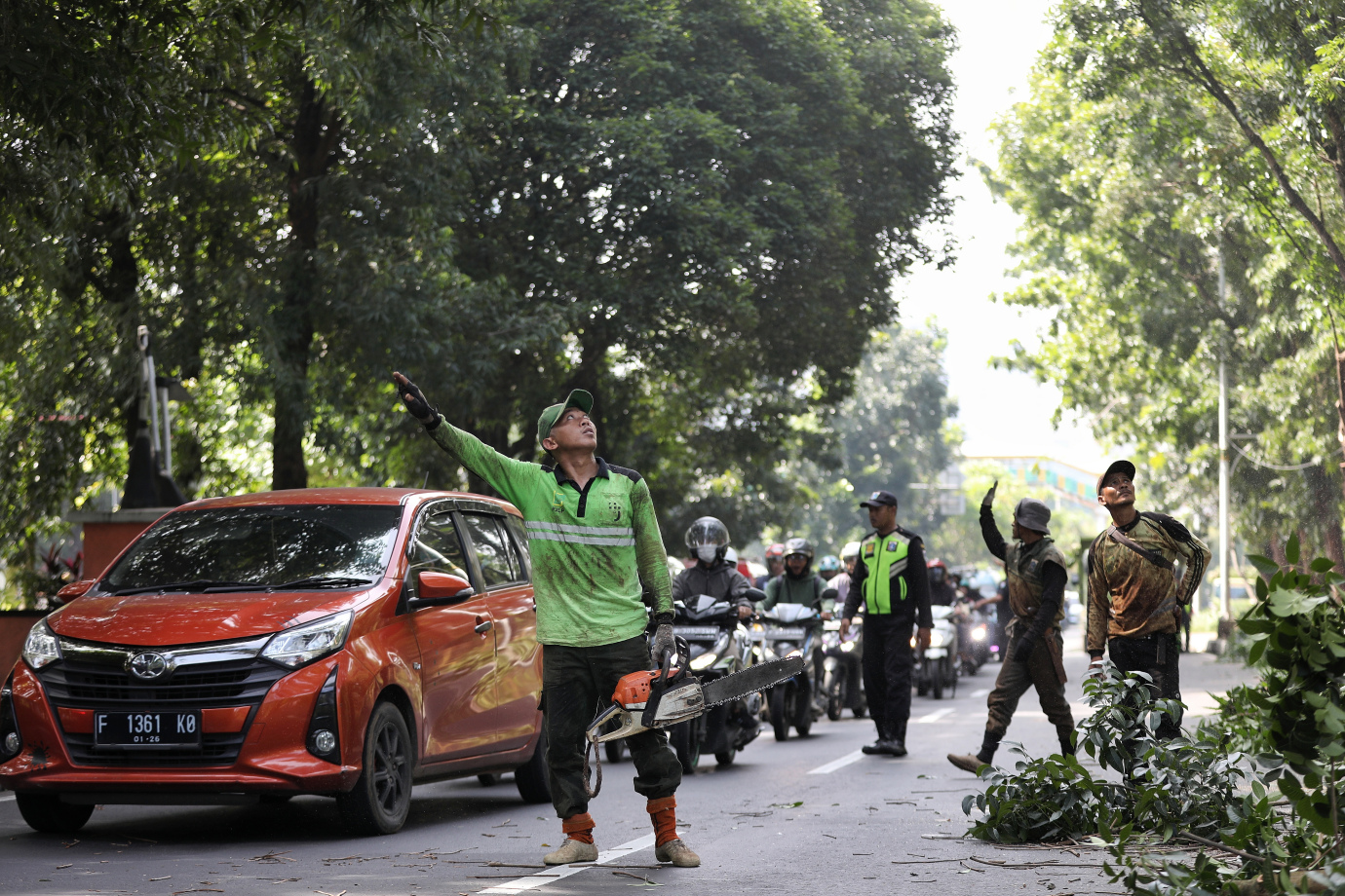 2.Sudin Tamhut Jakarta Selatan Toping 80 Pohon di Jagakarsa.jpg