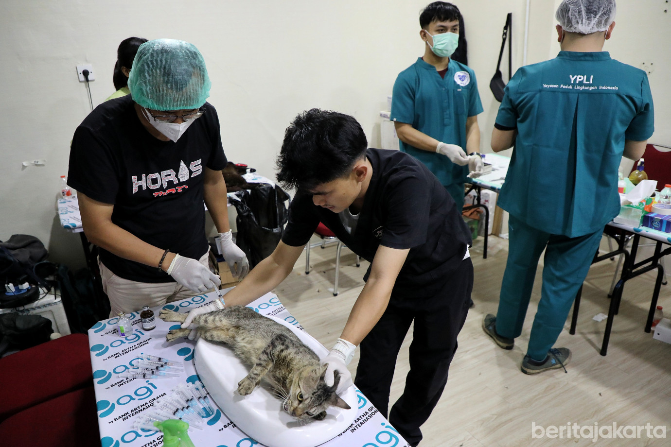 3.Sterilisasi Kucing Kampung di Blok M.jpg