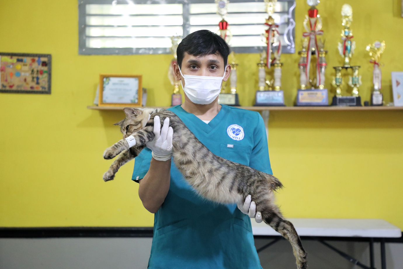 7.Sudin KPKP Bersama YPLI Gelar Sterilisasi Kucing Liar di Cilandak Barat.jpg
