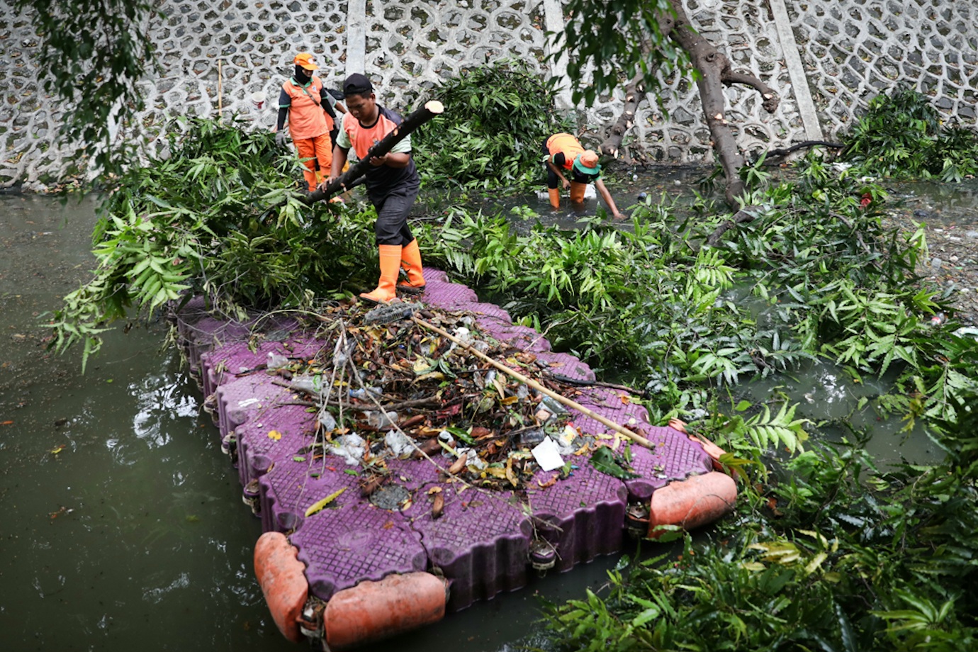 Pohon Tumbang-1.jpg