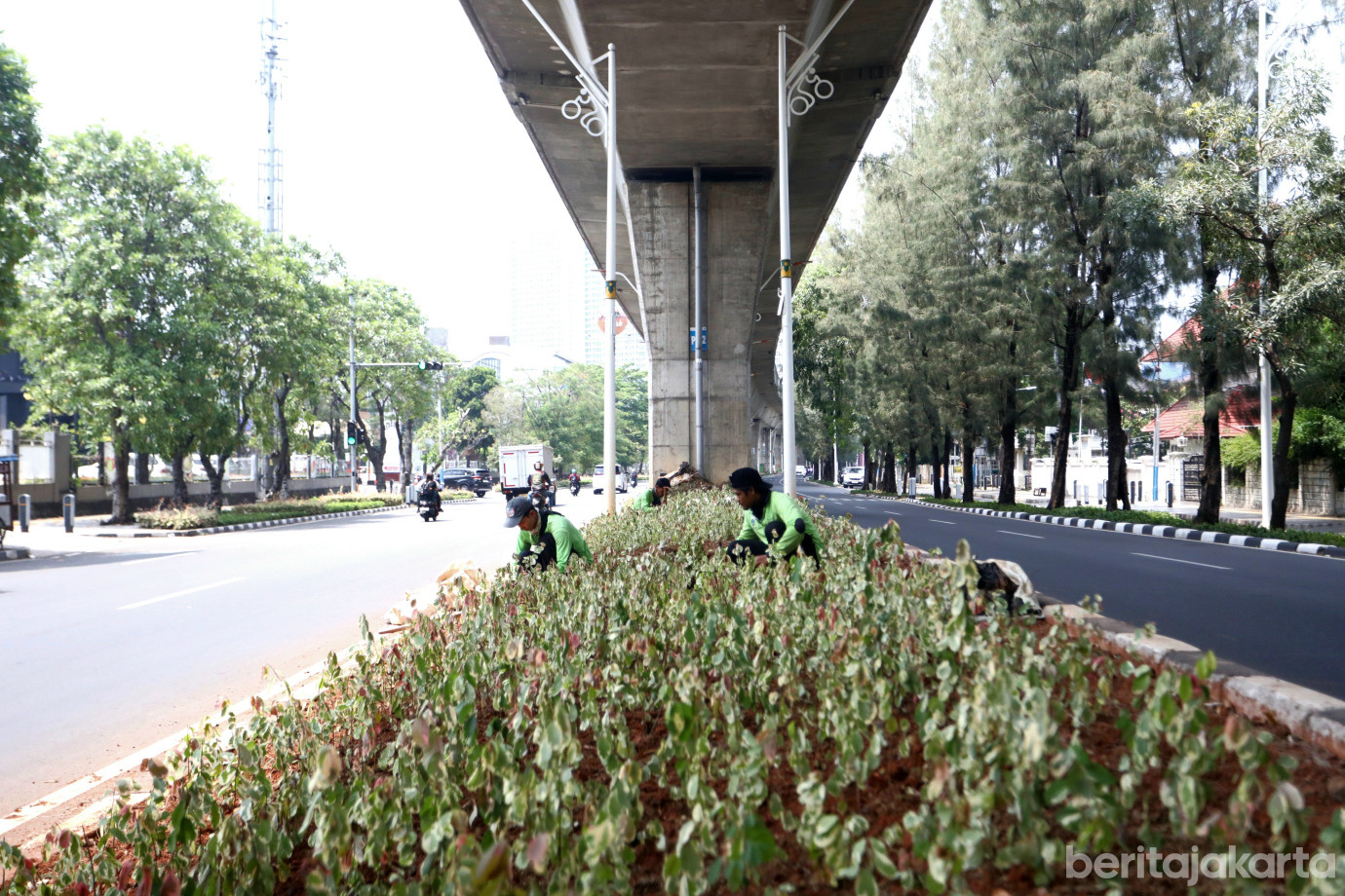 6 Sudintamhut Jaktim Percantik Jalur Hijau di Jalan Kayu Putih Raya_6.jpg
